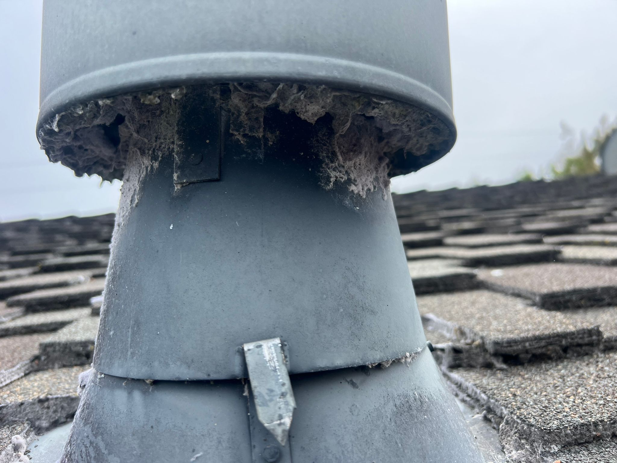 Attic insulation removal